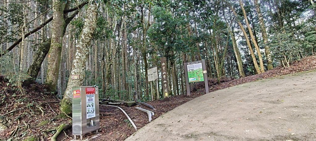 2025/04/04_加里山登山步道_2755023