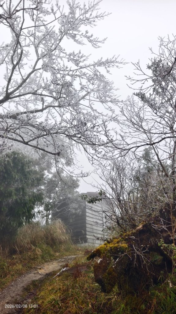 #霧淞 #雲海 #雲瀑 #霧虹 #太平山 #望洋山 #觀雲步道 #翠峰道路  2/8_2995346