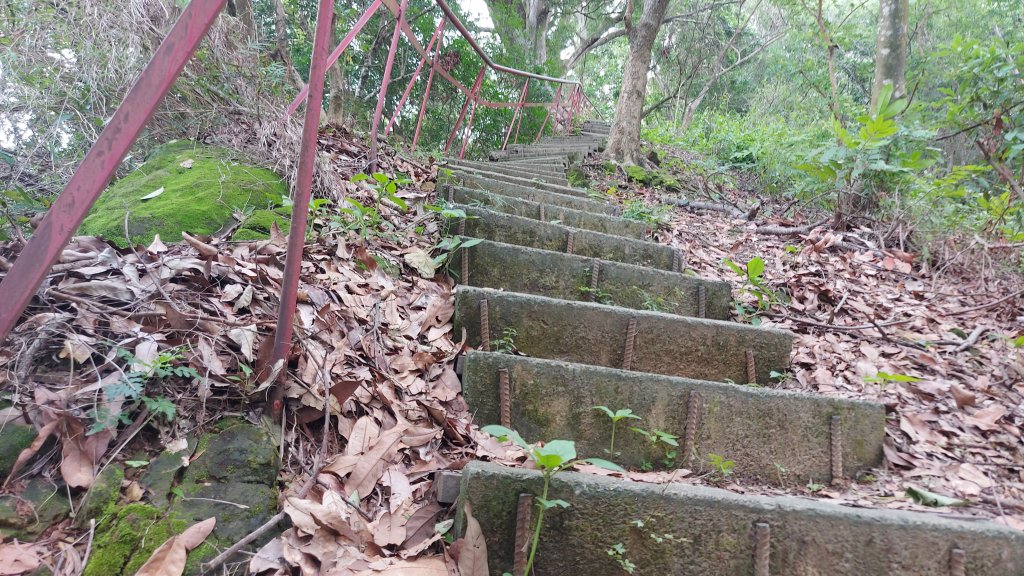 聚興山 林牛山除草_1430632