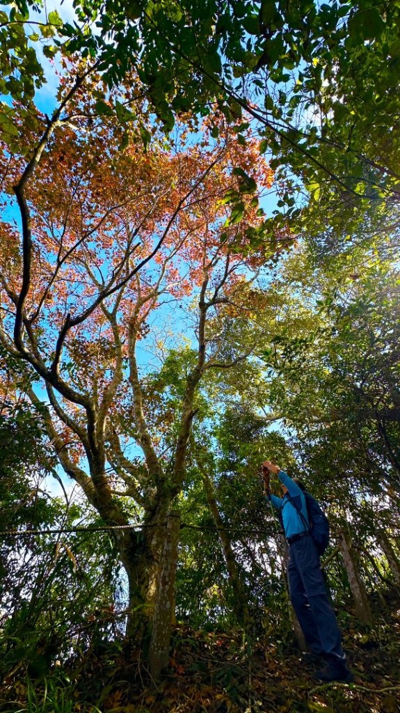 馬那邦山O走_2370081