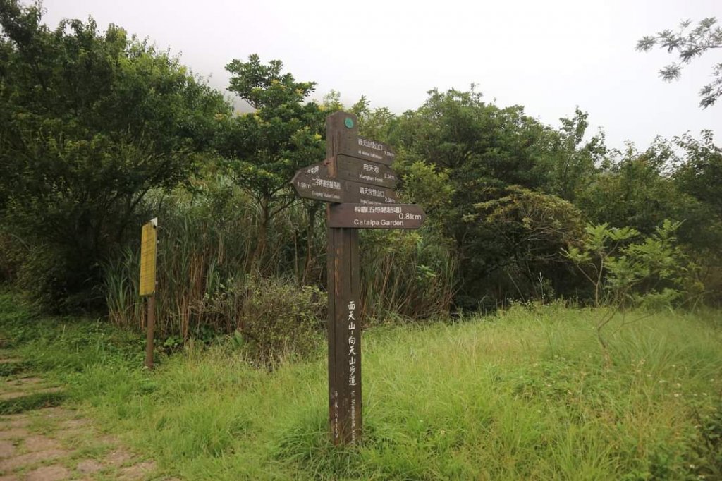 〔陽明山 〕面天山 向天山 向天池 二子坪步道。火山口湖 獨特生物蚌蟲 向天蝦（豐年蝦）_2235382