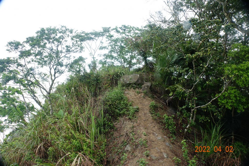 臺南 南化 刣牛湖山_1664325