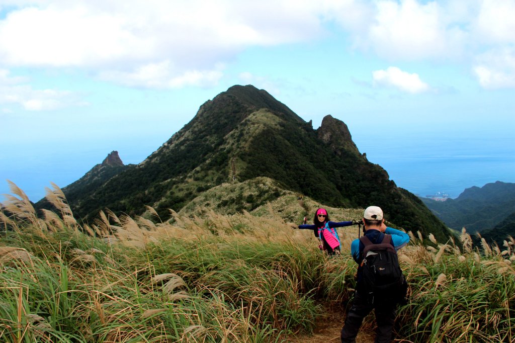 【金瓜石】漫山芒花怒放浪漫，礦山藍海奇景夢幻！_2964040