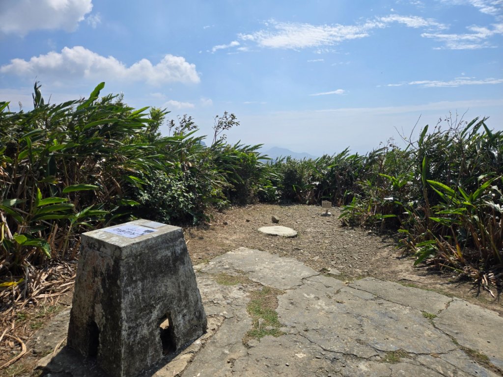 大山母山（小百岳）封面圖