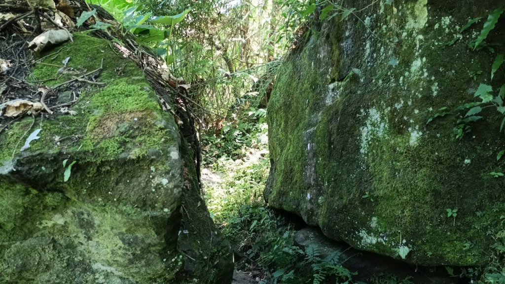 20251004 馬那邦山 - 珠湖 登山口_2904878