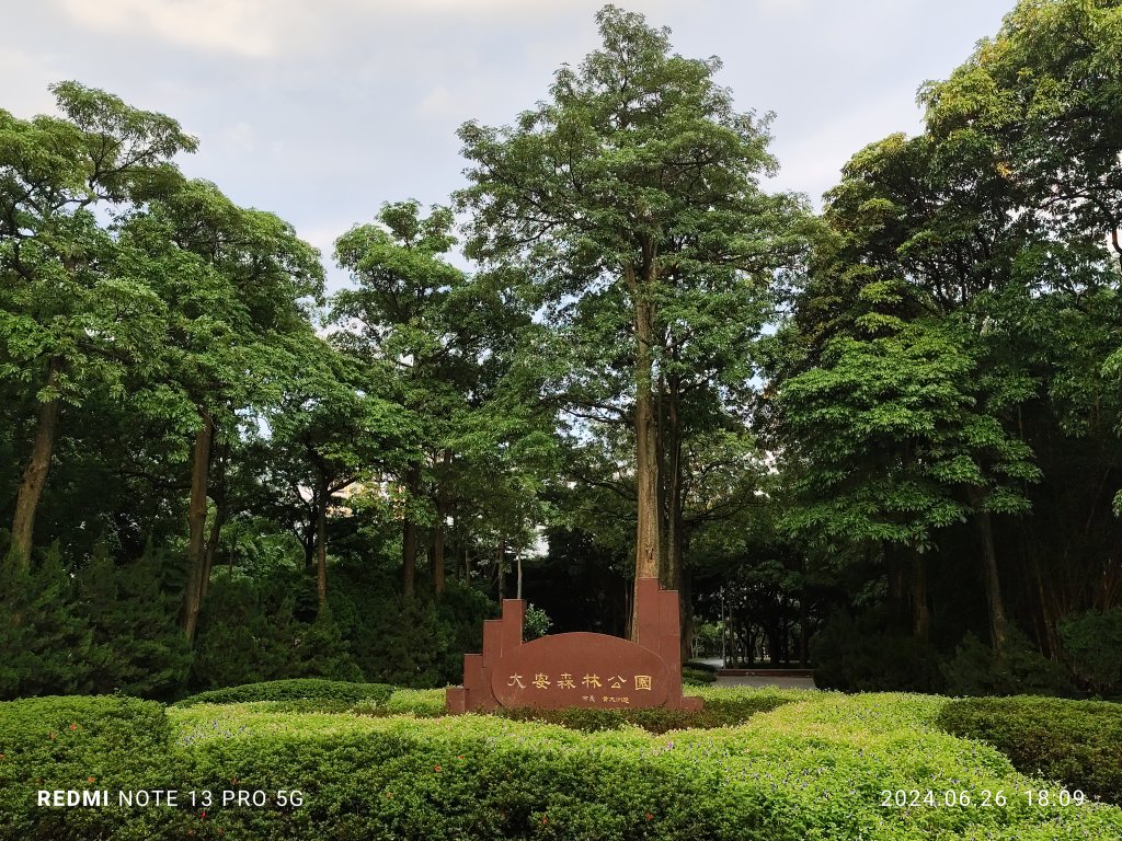 大安森林公園、寧夏夜市、士林夜市【走路趣尋寶】【臺北健走趣】_2536348