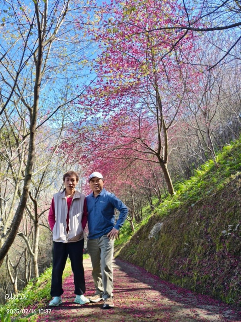 南投草坪頭_2714119