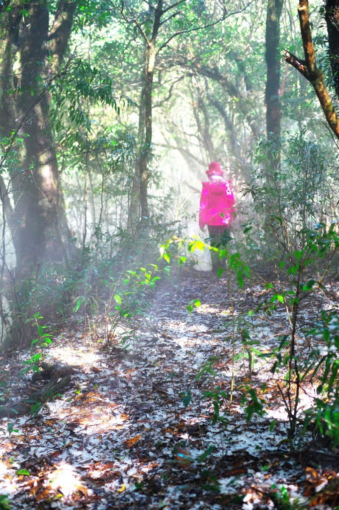 霧淞李崠(宇老線)_1960438