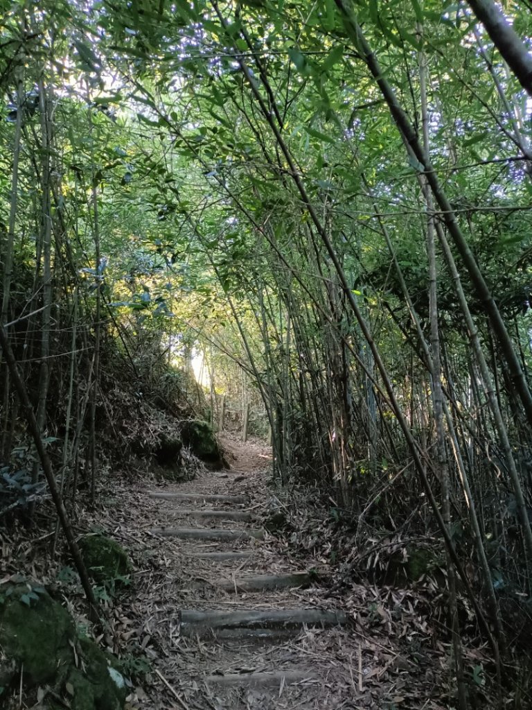 無敵大景馬那邦山_1774651