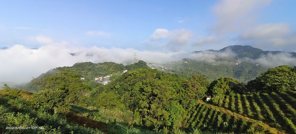 石碇二格山&雲海山&十三股山雲霧飄渺，差強人意雲海+觀音圈_2257032