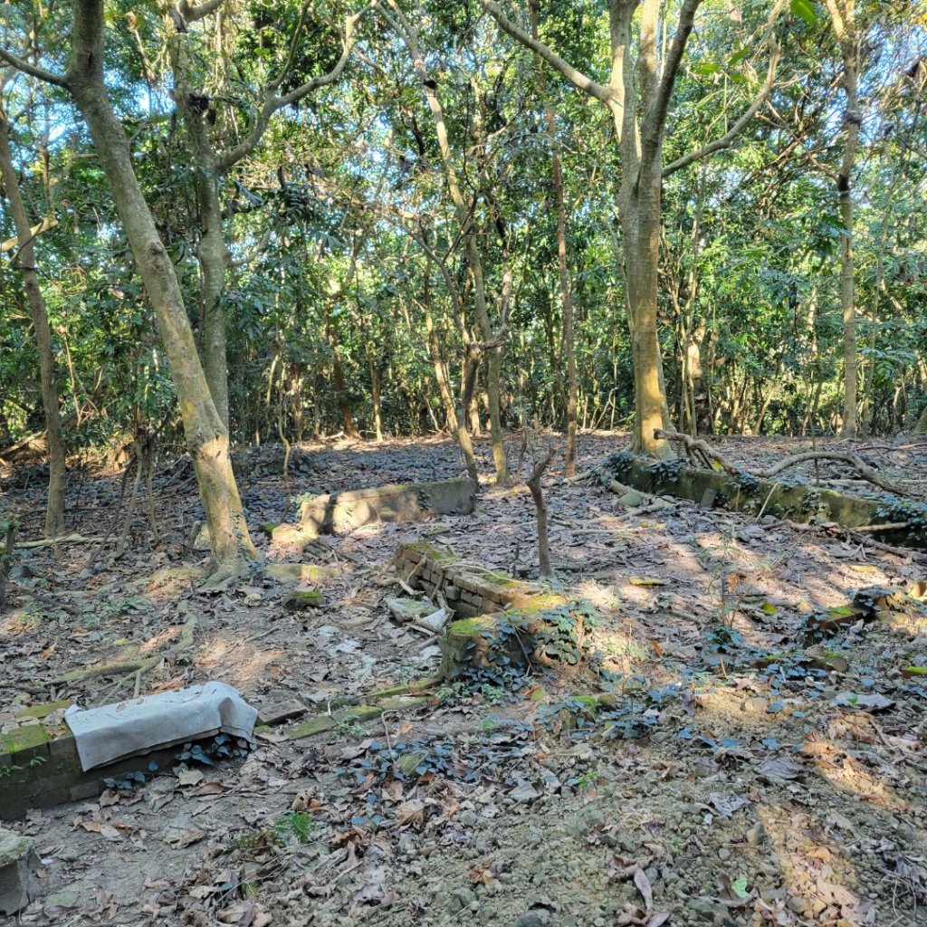 鈺鼎步道~糖子恩山_1576570