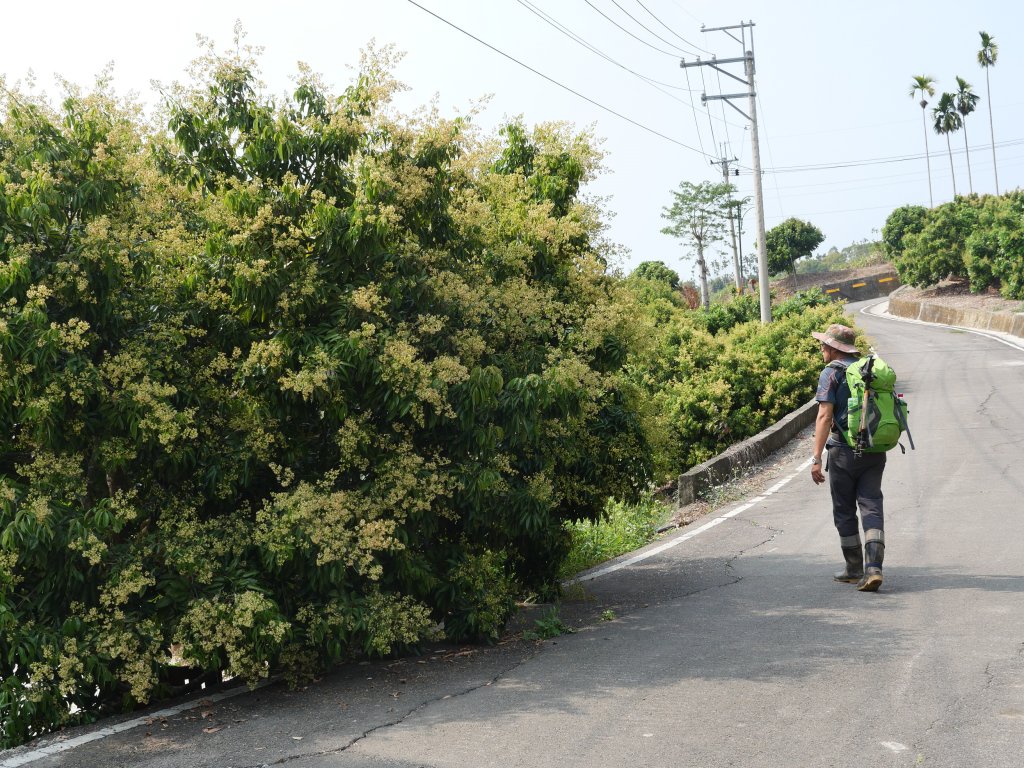 暗影山 西北稜上 南稜下 接仙女瀑布_1317891