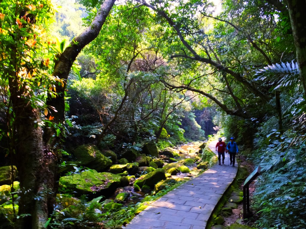 搭著捷運去旅行--內湖圓覺瀑布步道封面圖