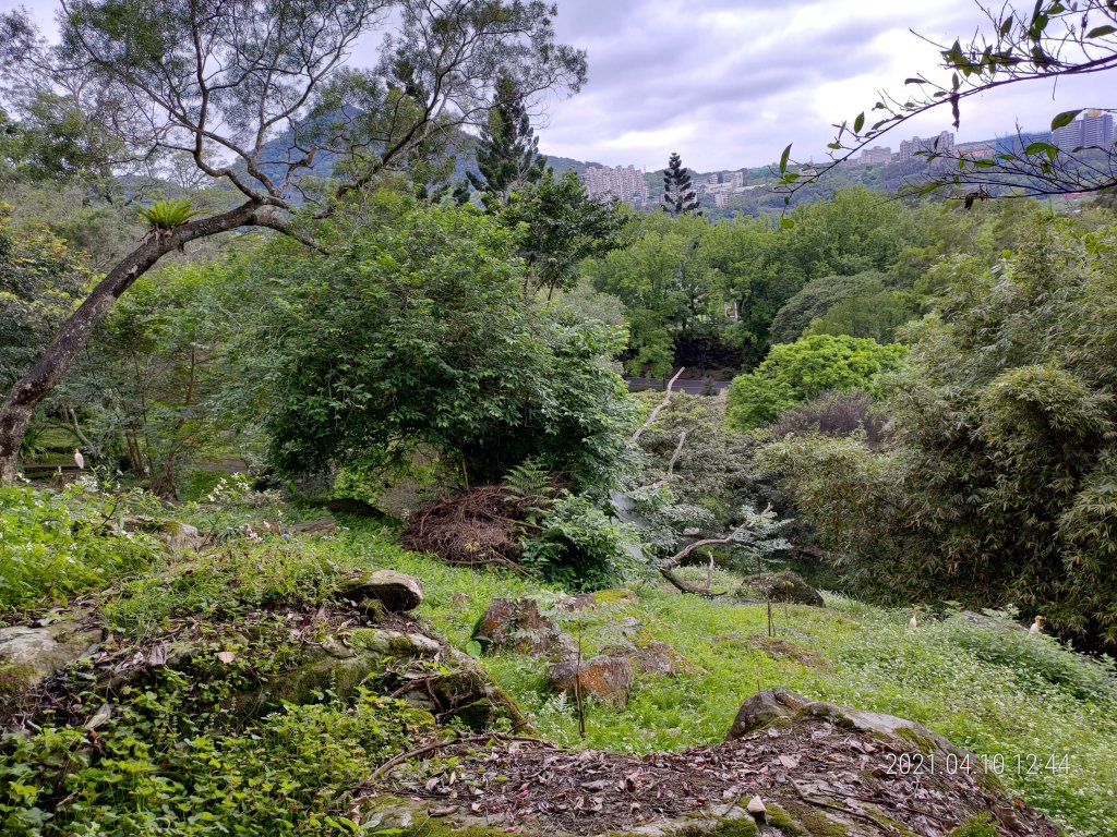 溪洲山(溪洲公園上福山巖下)_1344262