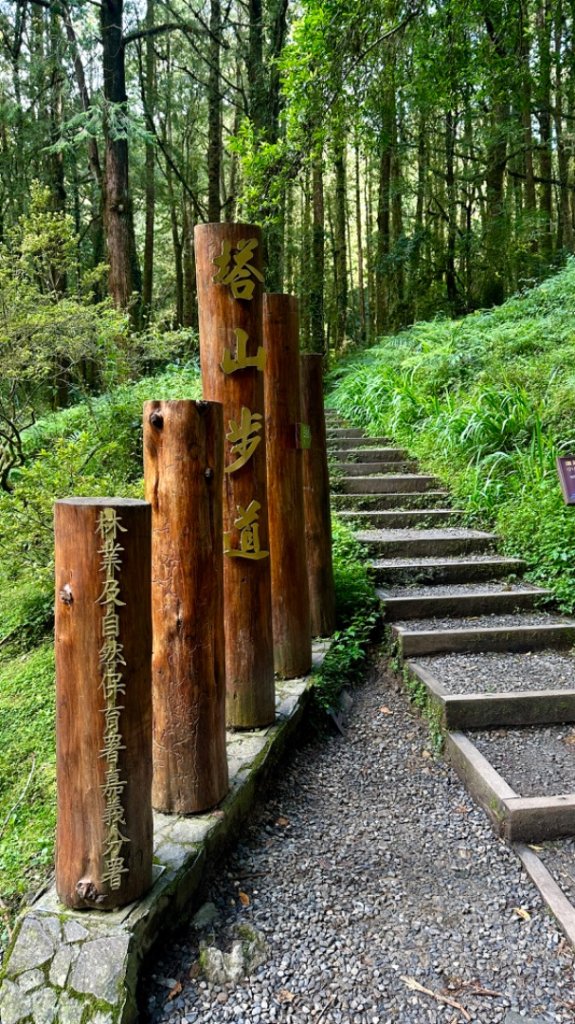 眠月線全段_2613432