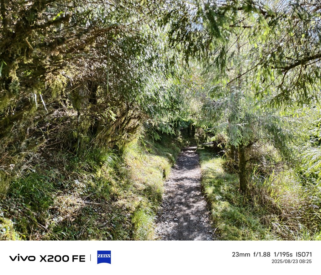 [玉山尋寶任務-04/12] 2025_0823 玉山前峰登山山徑_2869423