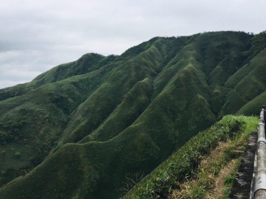 抹茶山&三角崙山_566987