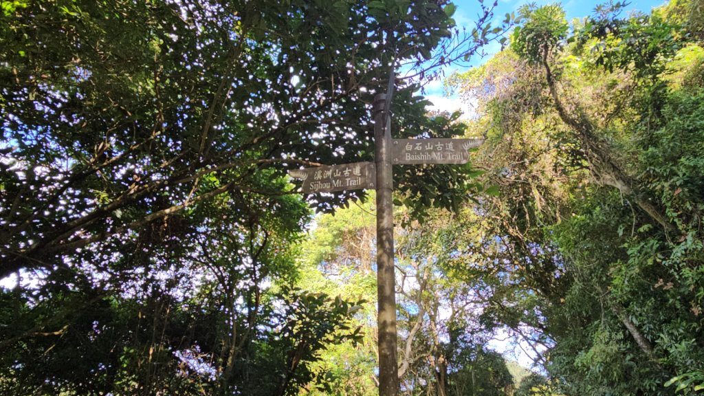 20251229石龜坑山上白石山下白石埤O走+阿姆坪_2976653