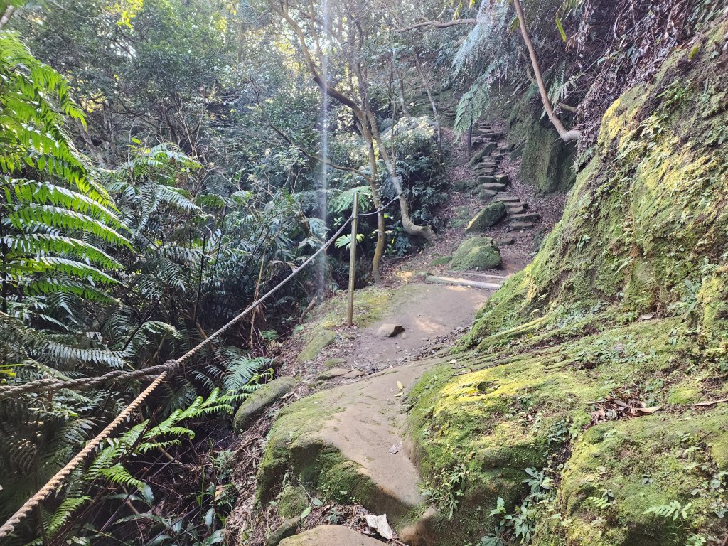 20240114指南宮站經猴山岳二格山鵝角格山至貓空站_2430796