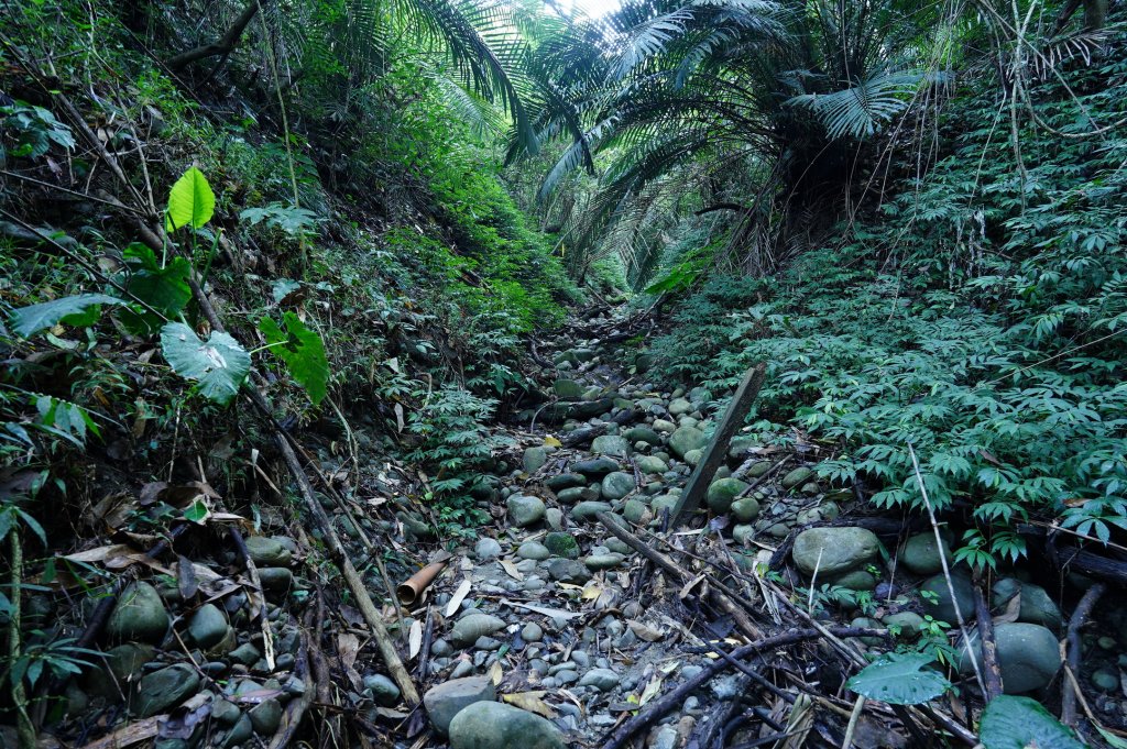 臺中 霧峰 奧山、砲台山_2715355