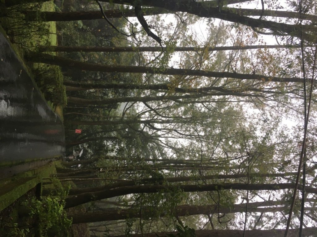 頭寮山o(慈湖、秘密花園咖啡☕️_2649007