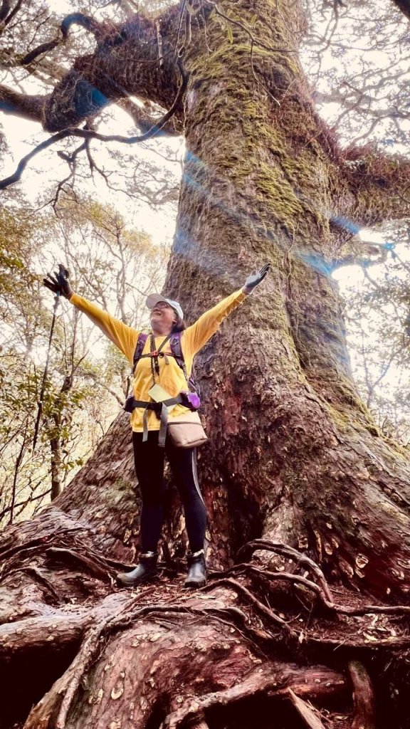 🌈4/13（日）（三）魔法森林-塔曼山~FB：熊熊趴爬走🌈_2761310