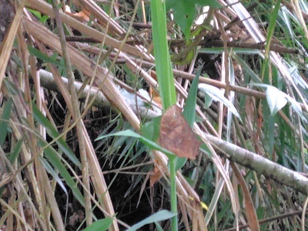 廢棄的步道_2531826