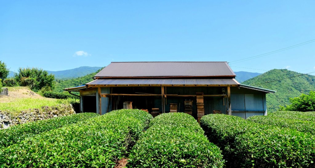熊野古道_2807332