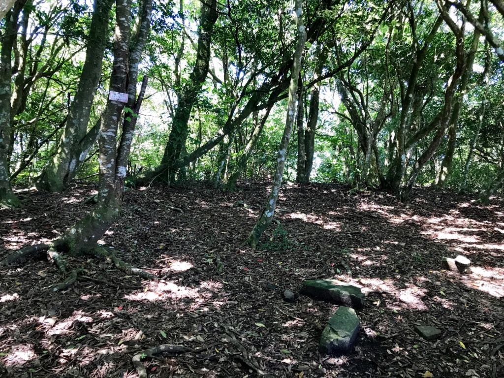 大混山連走李崠山_397914