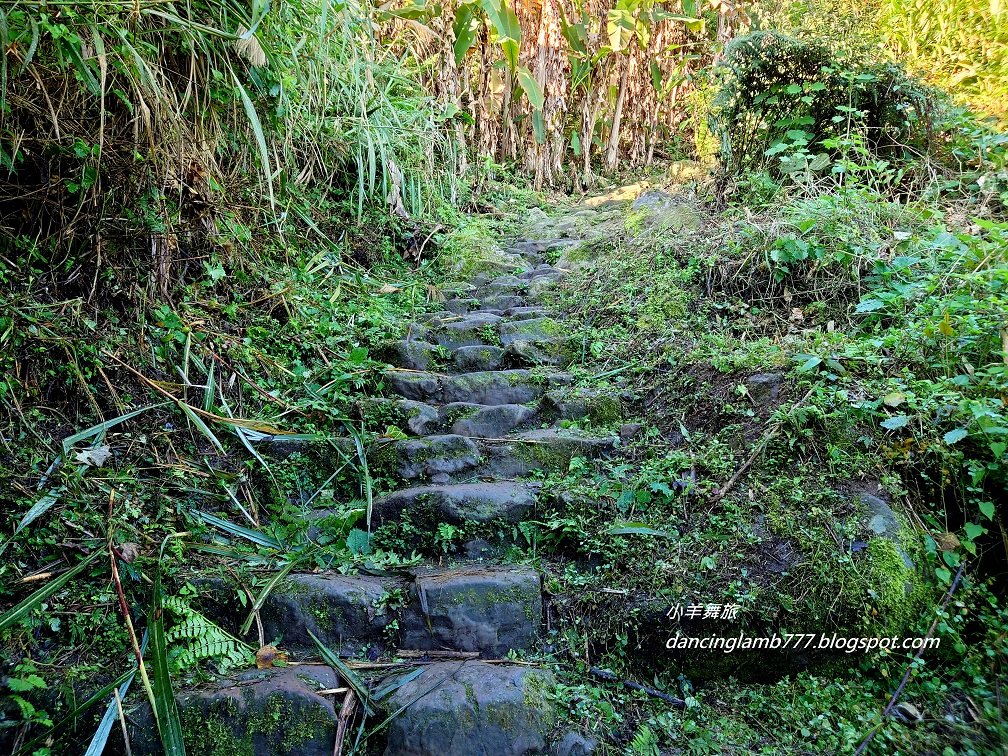 【苗栗】馬那邦山步道~ 聖稜線我終於見到你了_1641932