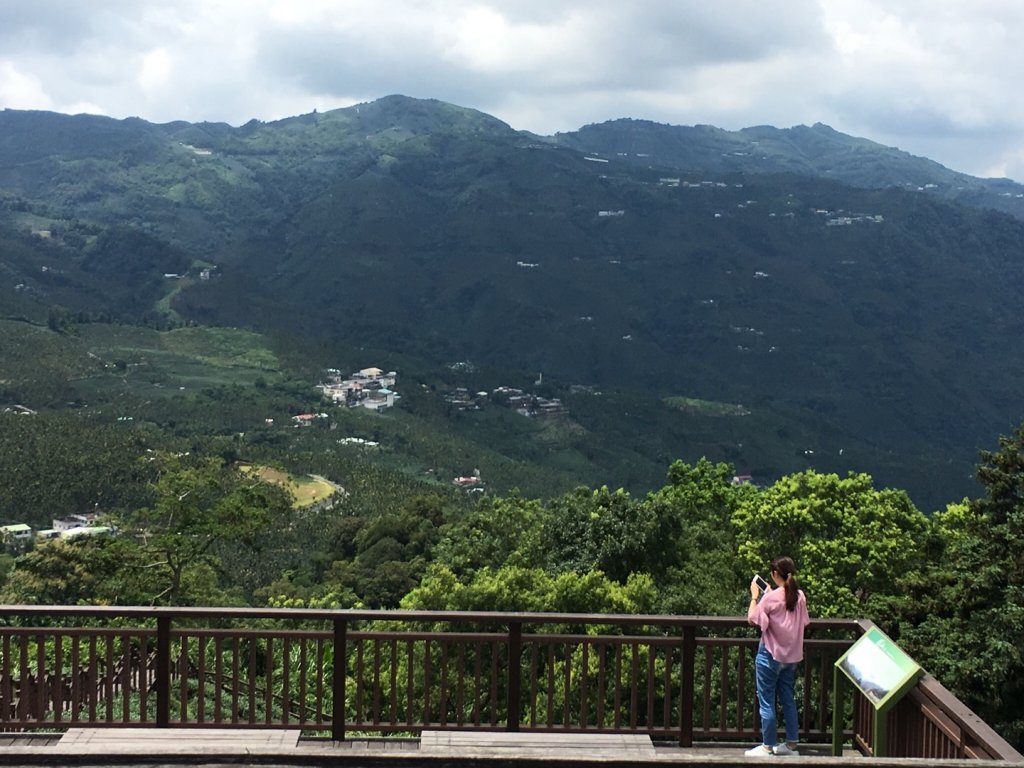 太興岩步道_486302