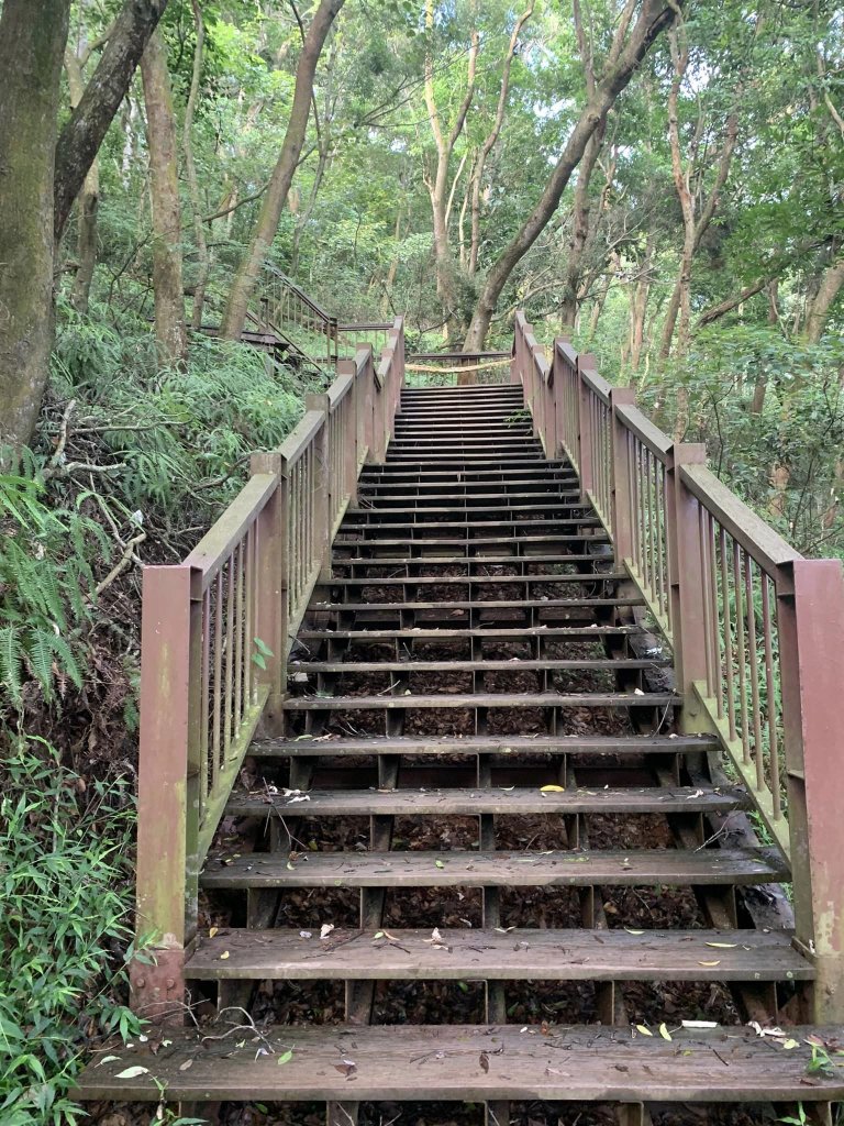 橫山步道（小百岳）_2244679