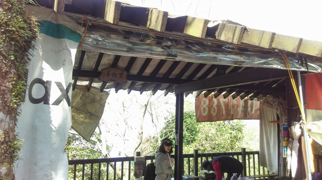 大坑5-1步道~頭嵙山三角點_872077