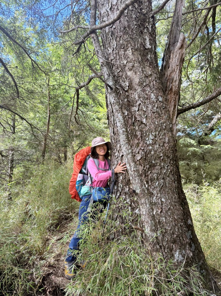 觀雲山莊經小完美谷上畢祿山O繞_2917209