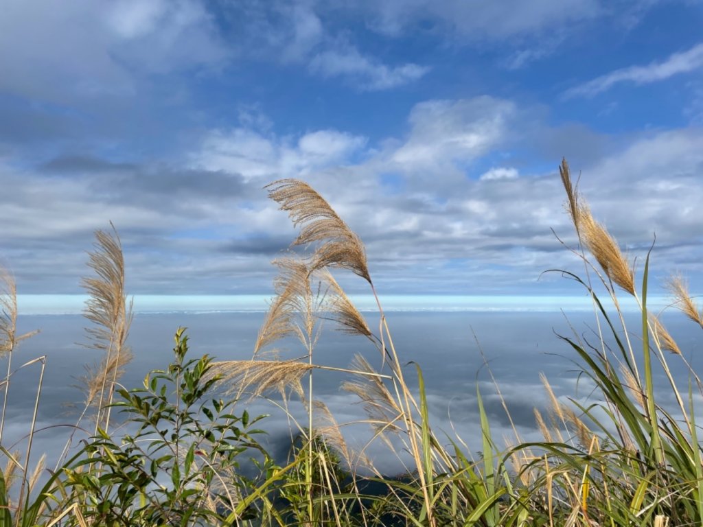 20201225 後棟山-二尖山_1218734