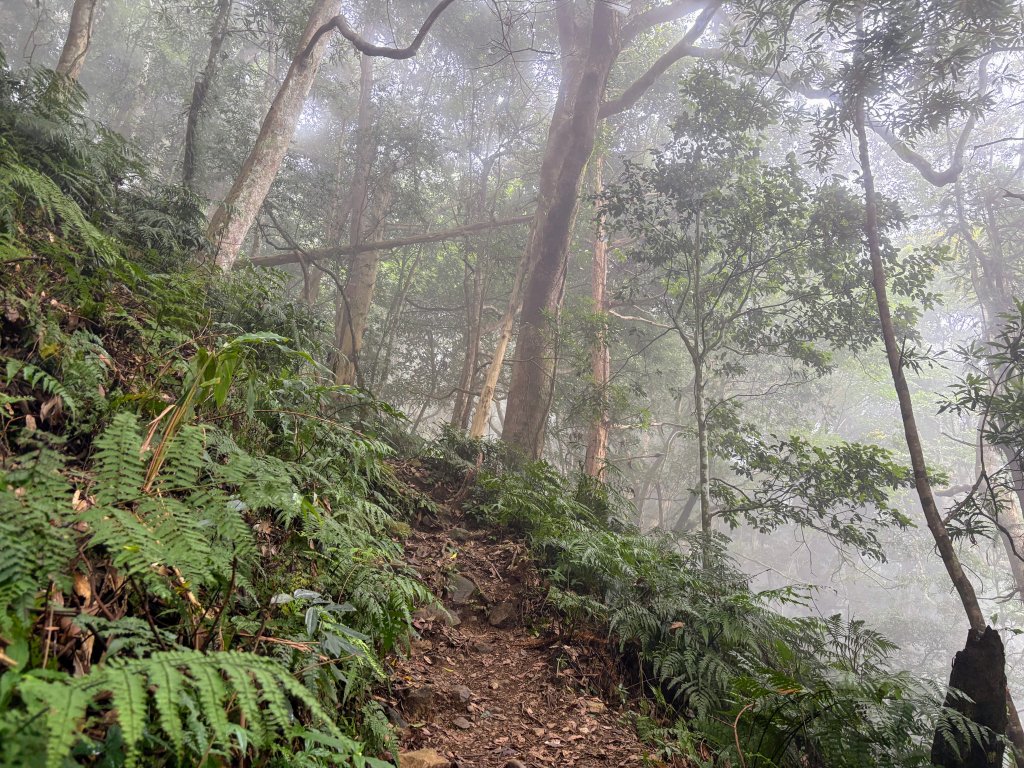 油羅山_2856369
