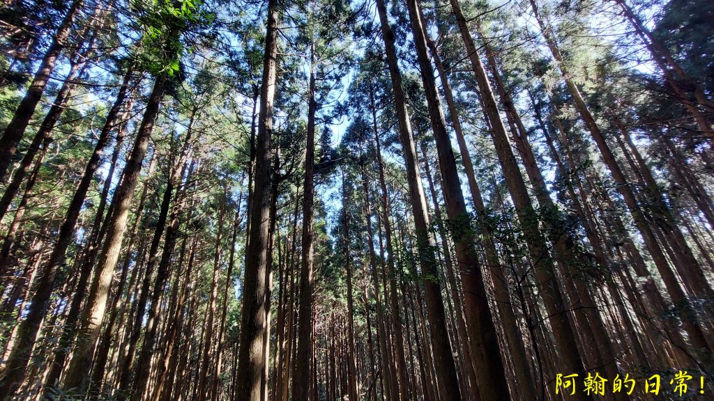 高島縱走_2686891