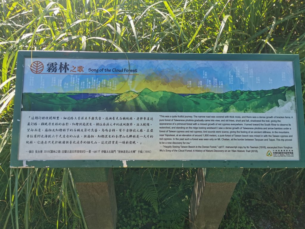 台灣山毛櫸步道-夏日碧綠盎然佐壯觀山巒_1039611