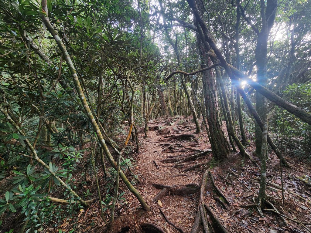 20250831鳶嘴稍來_2928601