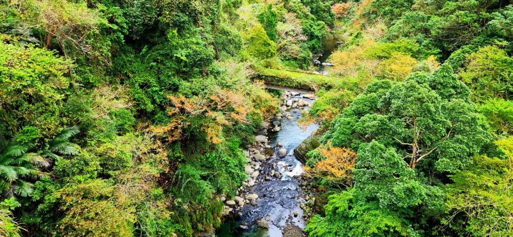 大霸尖山，小霸尖山，伊澤山，加利山，向天湖山，三角湖山，光天高山，李棟山，青蛙石步道，銅鏡山林步道_1983033