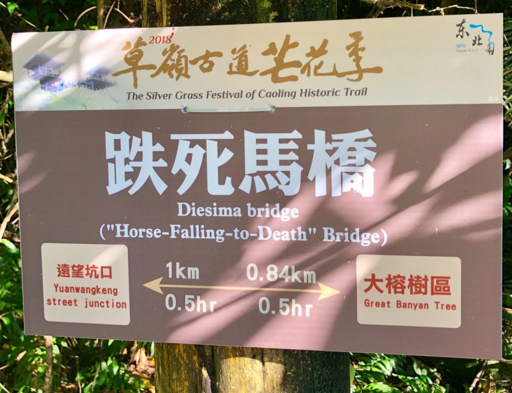 2018-11-11宜蘭草嶺古道芒花_468362