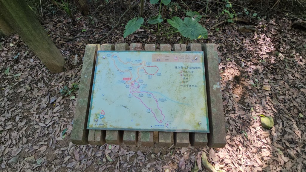 20251215林口森林步道+太平嶺海濱步道_2969359