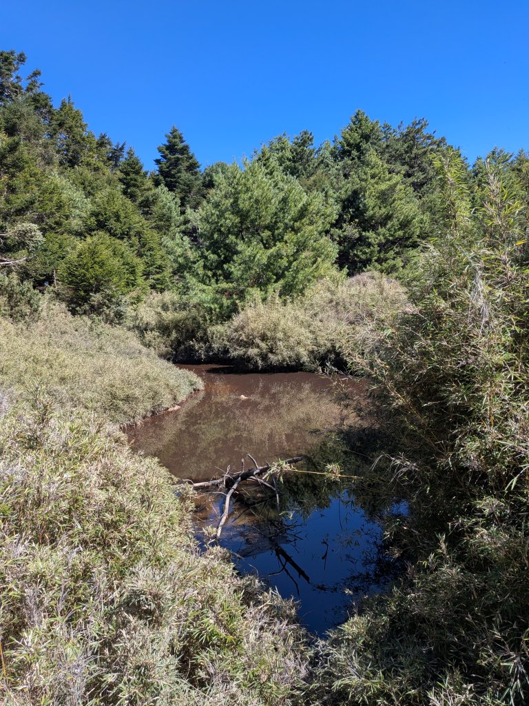 結界縱走三日(結城山、境界山、檜山)_2920897