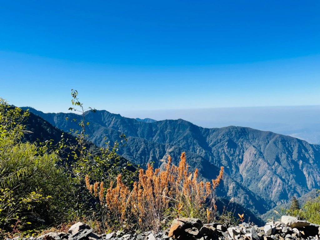 1101211大雪山230林道9.2k/雪山西稜登山口_1546359