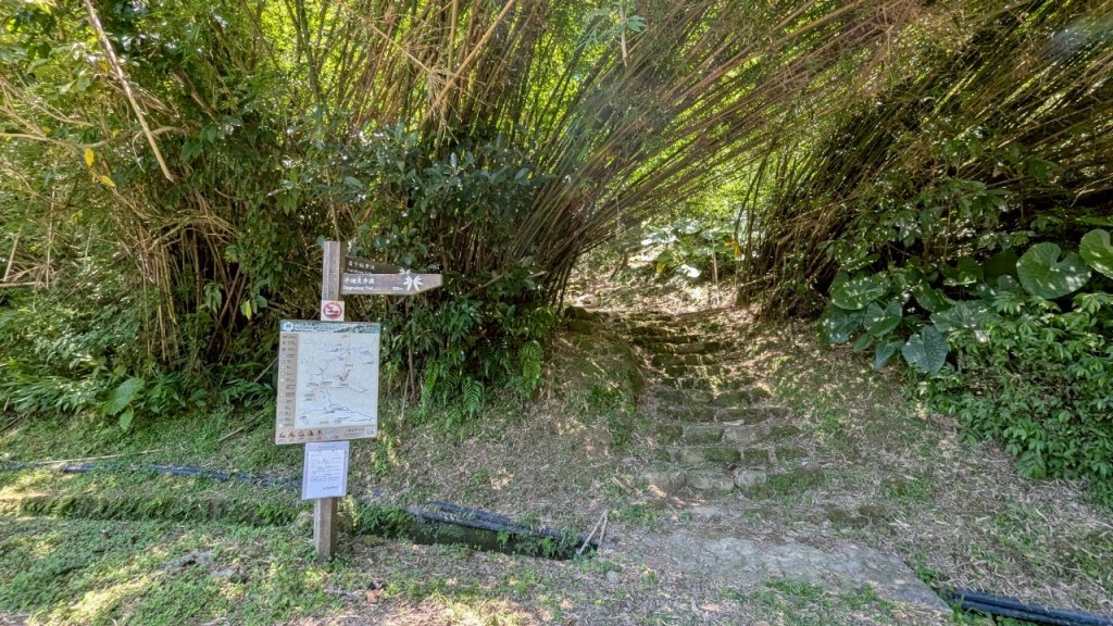 114.06.28內平林山-番子坑山-平湖森林遊樂區之O型_2824202