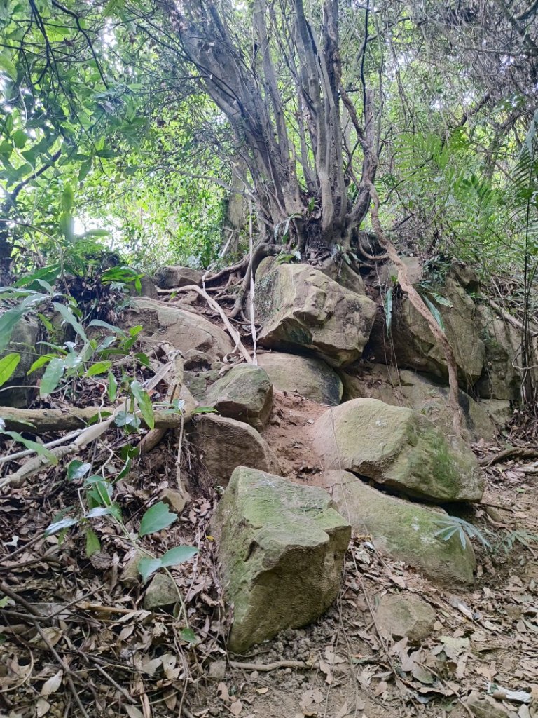鳶溪縱走_2679442