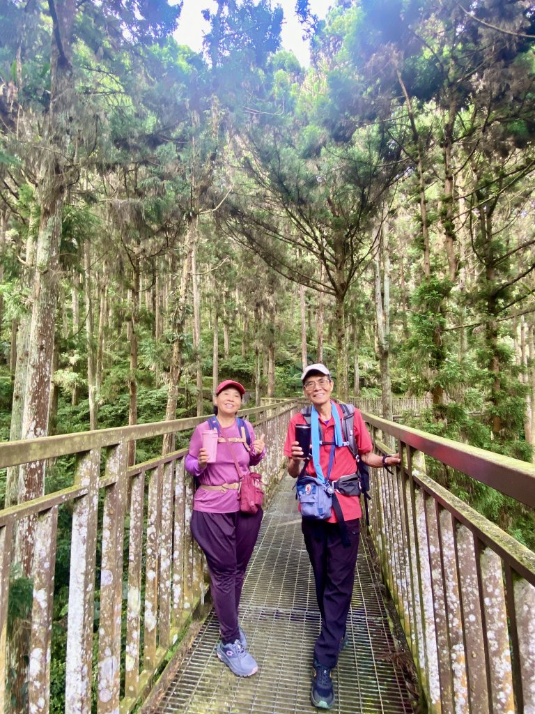 溪頭散步悠遊    2024.5.20_2517695