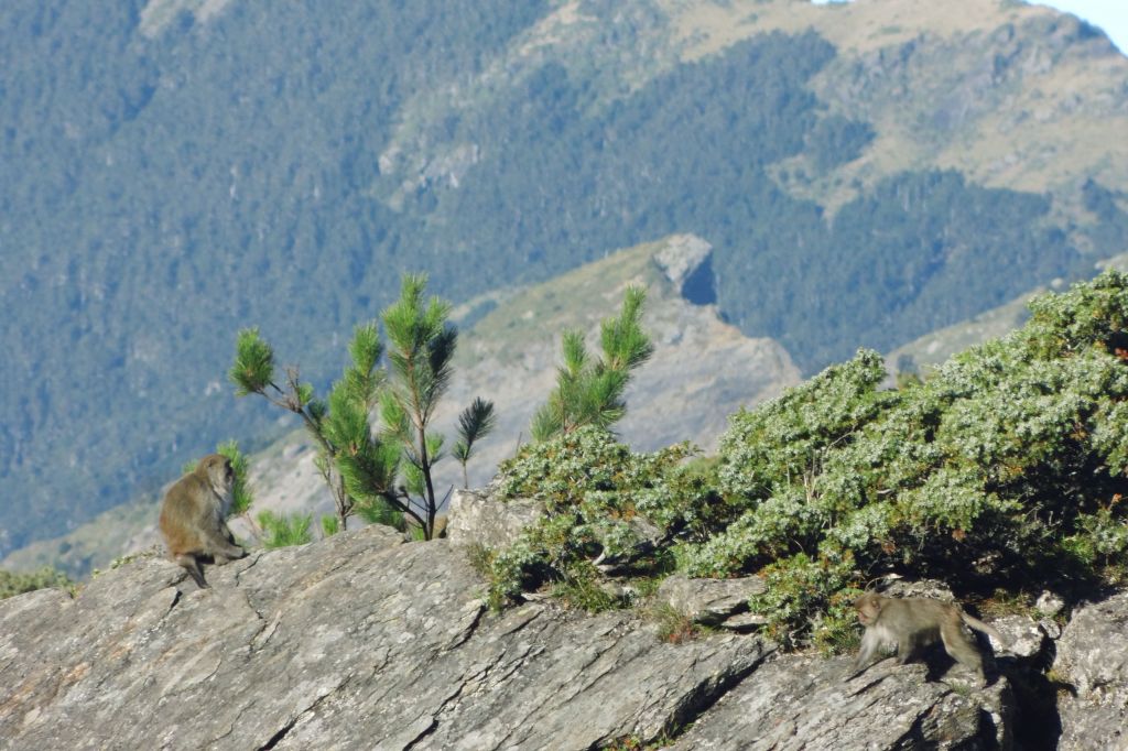 2017.嘉明湖_176912