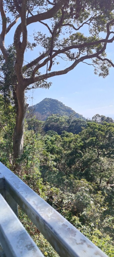 林梢步道_2700683