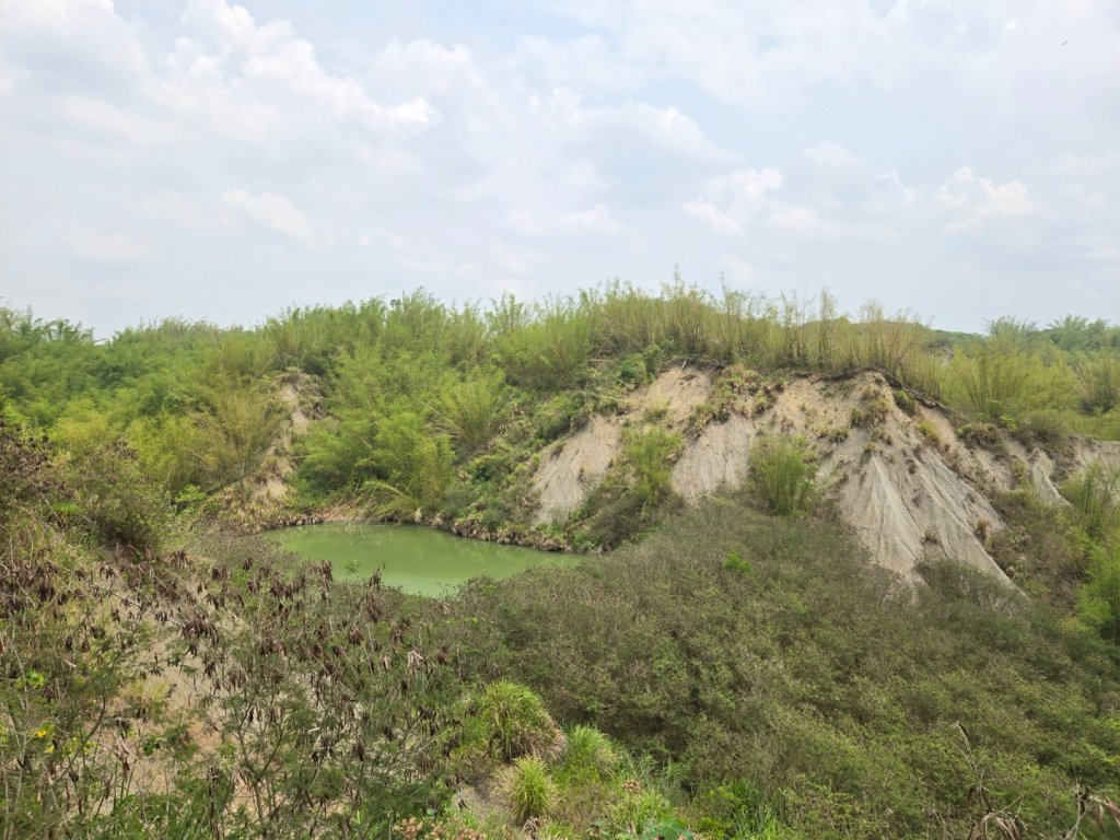 2025-04-07 左鎮後坑古道（牛港嶺）_2757650